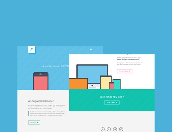 case image 2 650x500 - برنامه ریزی کمپین